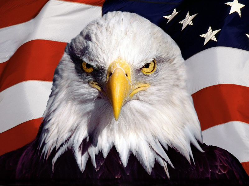 Illustration for article titled Cars and Coffee: Free Patriots of Maryland edition (Photo dump)